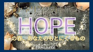 あなたはどの希望弁当を選びますか？見つけた時がタイミング。春と共に開花🌸🌸肚がすわる美味しいメッセージ☺️チャネリングお手紙つき#tarotreading #tarot #oracle #タロット