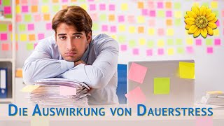 Die Auswirkung von Dauerstress - Vortrag von Dozentin Daniela Starke