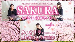 FM📻桜ソング特集1位🌸【SAKURA/いきものがかり】ヴィオリラ/弓でも弾ける大正琴~無伴奏三重奏~ Japanese Traditional TaishoｰKoto- Violyre