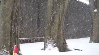 山形県酒田市　雪の山居倉庫