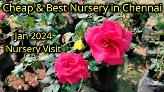 மிக குறைந்த விலையில் தரமான செடிகள் | Cheap and Best Nursery in Chennai