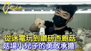 “屁孩”變百大青農！父親意外傷殘 菇場小兒子一夜長大立志種好杏鮑菇做品牌拚外銷∣一步一腳印【菇場小兒子的成長擔當】20230409