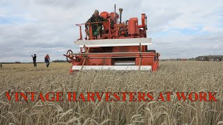 Casterton Harvest Clips