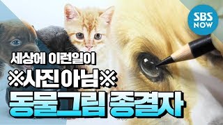 [순간포착 세상에 이런일이] Ep.1026 ※사진아님 주의※ '색연필 동물 실사 그림 종결자' / 'What on Earth!' Review