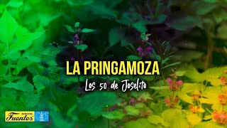 La Pringamoza - Los 50 de Joselito (VIDEO LETRA)