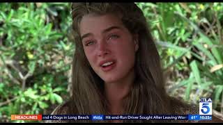 KTLA chats with Brooke Shields as she reflects on her career