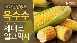 옥수수 제대로 알고 먹자 [SOS 건강정보]