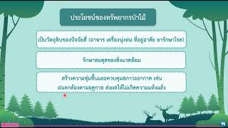 วิชาภาษาไทย ป.4 เรื่องการอนุรักษ์ป่าไม้