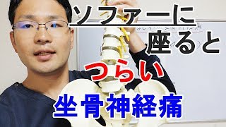 ソファーに座るとつらい坐骨神経痛　大阪の整体『西住之江整体院』