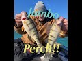 Catching JUMBO Yellow Perch out of Portage, Indiana on open Lake Michigan in February!! 2/25/2023