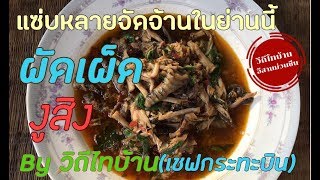 ผัดเผ็ดงูสิง แซ่บจนได้ซุกหัวออก สูตรจัดจ้าน โดยเซฟกระทะบิน วิถีไทยบ้าน