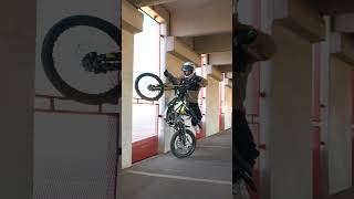 2025 SurRon lightbee wall stall #surronx #ebike #rider #motorcycle #tricks #wheelie #surron