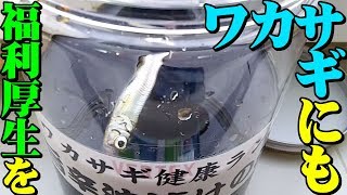 ワカサギを釣って食う 健康ランド旨辛沖漬けの湯へようこそ!!の巻