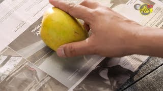 How to Prevent Mangoes from Over Ripening