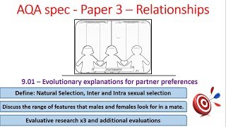 9.01   Evolutionary explanations for partner preferences - for AQA spec Alevel Psychology, paper 3