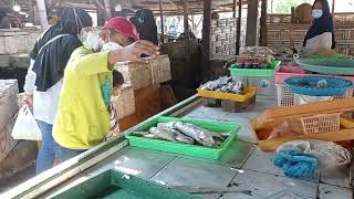 Belanja Ikan di TPI Kalanganyar, Sidoarjo