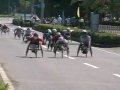 2009年　鳥取さわやか車いすマラソン