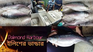 ইলিশের স্বর্গ রাজ্য | Daimond Harbour Fish Market