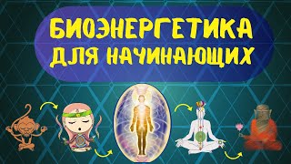 Биоэнергетика для начинающих практиков. 7 обучающих видео