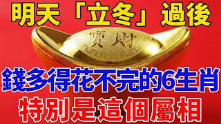 明天「立冬」過後,錢多得花不完的6大生肖！一生富貴多金！特別是這個生肖！有意外大財之喜！千萬不要錯過！【般若之音】#生肖 #運勢 #風水 #財運#命理