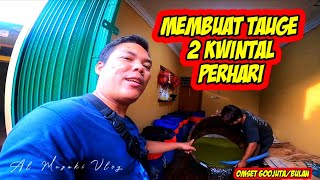 DISINI !!! Produksi tauge 2 kwintal sehari