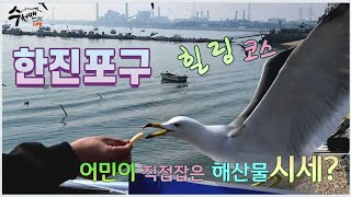 ♤한진포구 어민이 직접잡은 싱싱한 해산물 시세☆한가롭고 조용한 어촌마을~