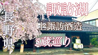 【諏訪湖】上諏訪酒造巡り 車中泊は湖畔の石彫公園駐車場