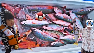 素人から玄人まで楽しいグルクン釣り【沖縄の美味しい県魚】