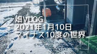 滋賀県高島市みのり農園畑の様子です。1月の大寒波でマイナス10度になったときの様子アップします。