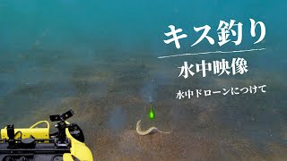 【キス釣り】キス仕掛けの動き方　水中映像付き　〜水中ドローンに自作仕掛けをつけて撮影〜