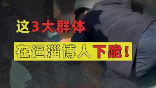 淄博老板给网红下跪，鸭头小哥被网暴关店: 这3大群体，在逼淄博人下跪！【洞察社会系列93】