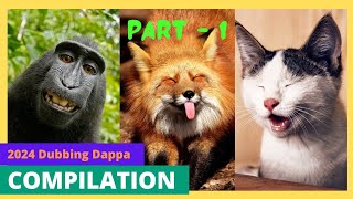 Funny compilation 2024 Part 1 🤣 #funny #animals #comedy #cat #dog #monkey #pets #doglover #catlover