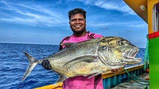 WOW!! “Back-to-Back Giant Barracudas,Trevally fish and Sailfish Caught in Deep Sea Day 4, EP11.