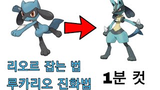 [포켓몬스터 블랙 2]초간결 1분 컷! 리오르 잡기, 루카리오 진화법 알아가기[재수정 업로드]