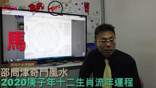 【馬】2020庚子年十二生肖流年運程《邵問津奇門風水 節錄》