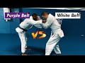 Purple Belt v White Belt -  Gi [Rolling/Sparring] Video Breakdown