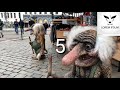 5 troll caught on camera in real life