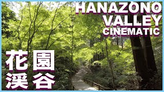 【絶景】花園渓谷 Cinematic Movie 夏の花園渓谷 渓谷奥地の滝巡り 茨城 北茨城市 観光・絶景スポット