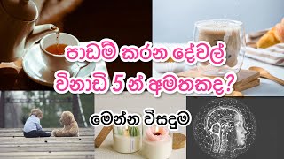 පාඩම් කරද්දි මතක ශක්තිය වැඩි කරගන්න මේ දේවල් කරන්න | Sinhala study tips #studytips #studywithme