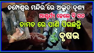 ମୋଟେର ଚମ୍ପେଶ୍ୱର ମହାଦେବ ମନ୍ଦିରରେ ଅଦ୍ଭୁତ ଦୃଶ୍ୟ, ପଥରର ବୃଷଭ ପିଉଛି ପାଣି l Breaking News l @Swastik Tv