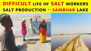 Natural Salt Production in Sambhar Salt lake