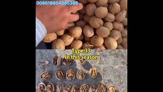 Chinese Xinjiang walnut