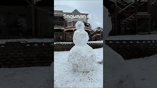 Snowman ⛄️ #meme #gorillatagandthishappened #fyp #snow #snowman #viralvideo #monkey