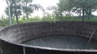 Mana palle andalu # rain time # my village # natural video