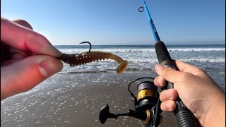 Surf Perch Love 2 inch Swimbaits! - California Surf Fishing