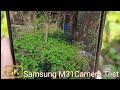 Samsung M31 Camera Test | M31 Camera Test | Samsung M31 Review |New Phone 2021| Galaxy M31 Camera