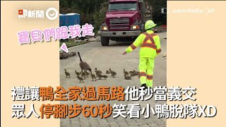 鴨全家過馬路 他當義交 眾人停腳步看小鴨脫隊｜寵物｜守秩序