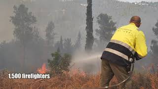 After Israel's Largest Wildfire Ever, What's Next?