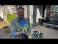 Dale K's Big Backyard - Top 5 container gardening tips