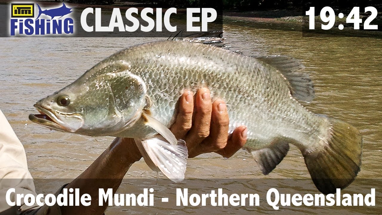 Barramundi Fishing Australia Youtube